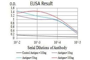 ELISA image for anti-Tumor Necrosis Factor Receptor Superfamily, Member 17 (TNFRSF17) antibody (ABIN5611185)