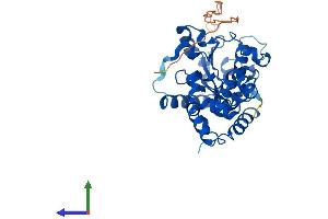 AlphaFold protein structure predicition of Human Recombinant CHST13 Protein, UniprotID Q8NET6