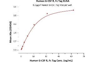 ELISA image for Colony Stimulating Factor 3 Receptor (Granulocyte) (CSF3R) (AA 25-621) (Active) protein (Fc Tag) (ABIN2181147)