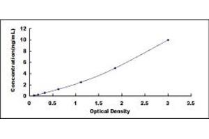 Typical standard curve (RGS5 ELISA 试剂盒)