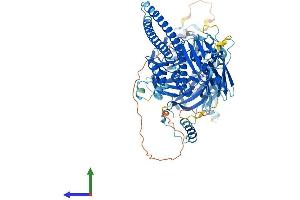 Protein Structure (PS) image for Bardet-Biedl Syndrome 9 (BBS9) (AA 1-887) protein (His tag) (ABIN7555102)