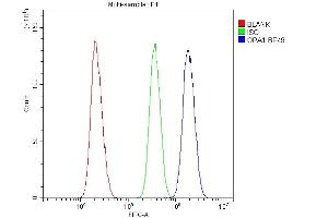 Flow Cytometry analysis of U20S cells using anti-OPA1 antibody (ABIN3043457).