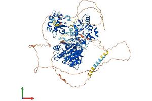 Protein Structure (PS) image for DNA (Cytosine-5-)-Methyltransferase 3 alpha (DNMT3A) (AA 1-912) protein (His tag) (ABIN7553688)
