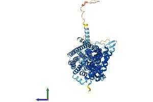 Protein Structure (PS) image for Chloride Channel Kb (CLCNKB) (AA 1-687) protein (His tag) (ABIN7553500)