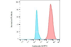 Separation of MCF-7 human breast adenocarcinoma cell line (red) from human peripheral whole blood (blue) in flow cytometry analysis (intracellular staining) stained using anti-human cytokeratin 19 (A53-B/A2) FITC antibody (concentration in sample 9 μg/mL). (Cytokeratin 19 抗体  (FITC))