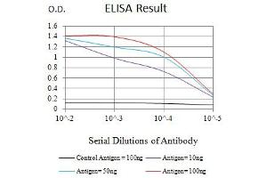 Black line: Control Antigen (100 ng),Purple line: Antigen (10 ng), Blue line: Antigen (50 ng), Red line:Antigen (100 ng) (MUC2 抗体  (AA 4373-4557))
