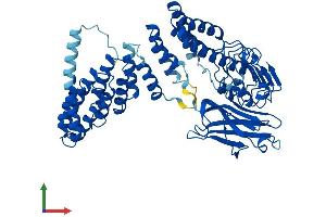 Protein Structure (PS) image for Rab Geranylgeranyltransferase, alpha Subunit (RABGGTA) (AA 1-567) protein (His tag) (ABIN7561509)