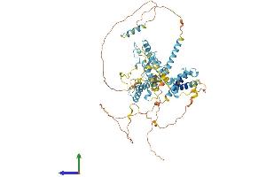 Protein Structure (PS) image for Splicing Factor 4 (SF4) (AA 1-643) protein (His tag) (ABIN7559332)