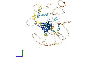 AlphaFold protein structure predicition of Human Recombinant NUMB Protein, UniprotID P49757 (NUMB Protein (AA 1-651) (His tag))