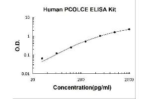 Procollagen C-Endopeptidase Enhancer (PCOLCE) ELISA Kit