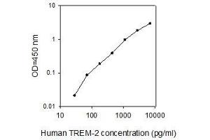 ELISA image for Triggering Receptor Expressed On Myeloid Cells 2 (TREM2) ELISA Kit (ABIN4884887) (TREM2 ELISA 试剂盒)