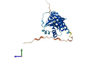 Protein Structure (PS) image for RAB3A, Member RAS Oncogene Family (RAB3A) (AA 1-220) protein (His tag) (ABIN7556633)