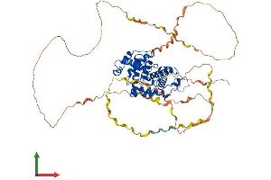 Protein Structure (PS) image for Cyclin K (CCNK) (AA 1-580) protein (His tag) (ABIN7552984)