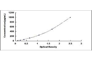 Typical standard curve (TCN1 ELISA 试剂盒)