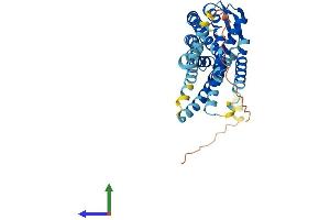 Protein Structure (PS) image for Chemokine (C-X-C Motif) Receptor 3 (CXCR3) (AA 1-367) protein (His tag) (ABIN7562598)