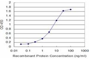 Detection limit for recombinant GST tagged ALOX12 is approximately 0. (ALOX12 抗体  (AA 564-663))
