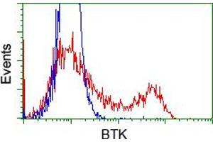 Image no. 8 for anti-Bruton Agammaglobulinemia tyrosine Kinase (BTK) antibody (ABIN1496974) (BTK 抗体)