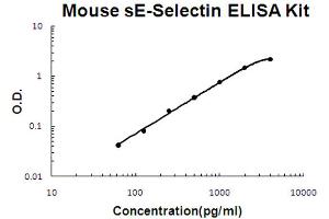 Mouse sE-Selectin Accusignal ELISA Kit Mouse sE-Selectin AccuSignal ELISA Kit standard curve. (Soluble E-Selectin ELISA 试剂盒)