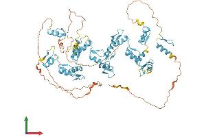 AlphaFold protein structure predicition of Human Recombinant ZFP64 Protein, UniprotID Q9NTW7 (ZFP64 Protein (AA 1-645) (His tag))