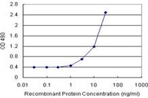 Sandwich ELISA detection sensitivity ranging from 1 ng/mL to 100 ng/mL.