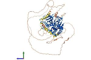 Protein Structure (PS) image for DENN/MADD Domain Containing 1B (DENND1B) (AA 1-775) protein (His tag) (ABIN7553683)