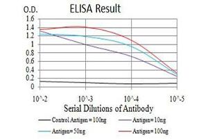 Black line: Control Antigen (100 ng),Purple line: Antigen (10 ng), Blue line: Antigen (50 ng), Red line:Antigen (100 ng) (IGHM 抗体  (AA 310-452))