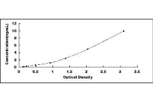 Chemokine (C-C Motif) Receptor 2 (CCR2) ELISA Kit
