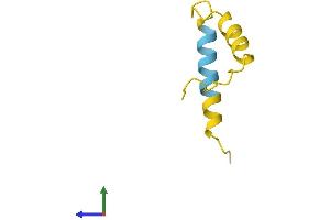 AlphaFold protein structure predicition of Human Recombinant MIR22HG Protein, UniprotID Q0VDD5