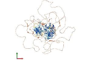 Protein Structure (PS) image for Tubby Like Protein 4 (TULP4) (AA 1-1543) protein (His tag) (ABIN7555914)