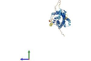 Protein Structure (PS) image for G Protein-Coupled Receptor 182 (GPR182) (AA 1-395) protein (His tag) (ABIN7563257)