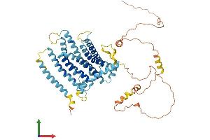 AlphaFold protein structure predicition of Mouse Recombinant Tmem184c Protein, UniprotID Q3TPR7
