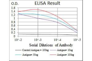 ELISA image for anti-Sonic Hedgehog (SHH) (AA 26-161) antibody (ABIN1846141)