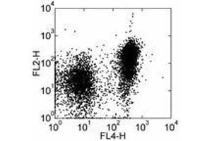 Image no. 1 for anti-Signaling Lymphocytic Activation Molecule Family Member 1 (SLAMF1) antibody (Biotin) (ABIN475810) (SLAMF1 抗体  (Biotin))