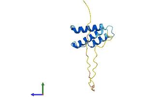 Protein Structure (PS) image for Succinate Dehydrogenase Complex Assembly Factor 1 (SDHAF1) (AA 1-118) protein (His tag) (ABIN7557132)