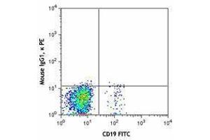 Flow Cytometry (FACS) image for anti-Chemokine (C-X-C Motif) Receptor 5 (CXCR5) antibody (PE) (ABIN2662489) (CXCR5 抗体  (PE))