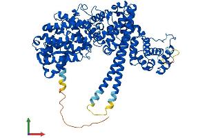Protein Structure (PS) image for Nuclear Cap Binding Protein Subunit 1, 80kDa (NCBP1) (AA 1-790) protein (His tag) (ABIN7563764)