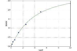 Tryptophan 2,3-Dioxygenase (TDO2) ELISA Kit