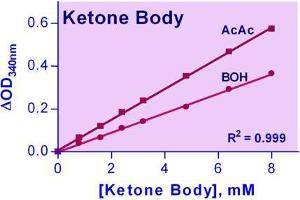 Biochemical Assay (BCA) image for Ketone Body Assay Kit (ABIN1000317) (Ketone Body Assay Kit)