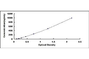 Typical standard curve (Fibrinogen beta Chain ELISA 试剂盒)