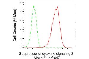 Flow cytometric analysis of Suppressor of cytokine signaling 2 expression in HAP-1 cells using Suppressor of cytokine signaling 2 antibody (ABIN7800465), 1:2,000). (Recombinant SOCS2 抗体)