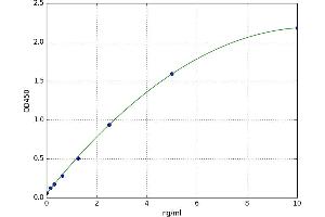 Transmembrane Protein 132D (TMEM132D) ELISA Kit