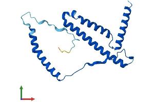Protein Structure (PS) image for NADH Dehydrogenase (Ubiquinone) 1 beta Subcomplex, 10, 22kDa (NDUFB10) (AA 1-176) protein (His tag) (ABIN7561352)