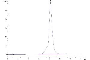 Size-exclusion chromatography-High Pressure Liquid Chromatography (SEC-HPLC) image for TYRO3 Protein Tyrosine Kinase (TYRO3) (AA 31-419) protein (His tag) (ABIN7275814)