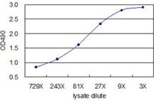 ELISA image for AHSG (Human) Matched Antibody Pair (ABIN1340699)