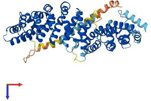 AlphaFold protein structure predicition of Mouse Recombinant Tmco6 Protein, UniprotID Q8BQX5 (TMCO6 Protein (AA 1-494) (His tag))