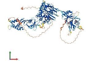 Protein Structure (PS) image for Ubiquitin Specific Peptidase 11 (USP11) (AA 1-963) protein (His tag) (ABIN7555937)