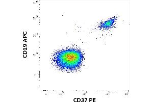 Flow cytometry multicolor surface staining of human gated lymphocytes stained using anti-human CD37 (MB-1) PE antibody (10 μL reagent / 100 μL of peripheral whole blood) and anti-human CD19 (LT19) APC antibody (10 μL reagent / 100 μL of peripheral whole blood). (CD37 抗体  (PE))