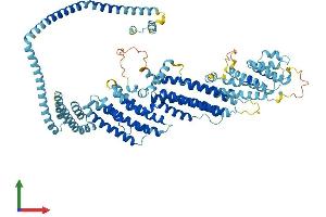 Protein Structure (PS) image for Component of Oligomeric Golgi Complex 7 (COG7) (AA 1-770) protein (His tag) (ABIN7546639)