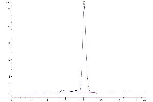 Size-exclusion chromatography-High Pressure Liquid Chromatography (SEC-HPLC) image for T Cell Immunoreceptor with Ig and ITIM Domains (TIGIT) (AA 26-143) protein (Fc Tag) (ABIN7275732)