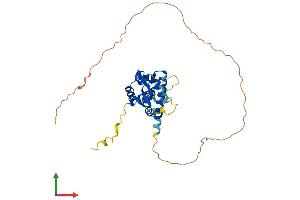 Protein Structure (PS) image for Melanoma Antigen Family A, 3 (MAGEA3) (AA 1-314) protein (His tag) (ABIN7549250)